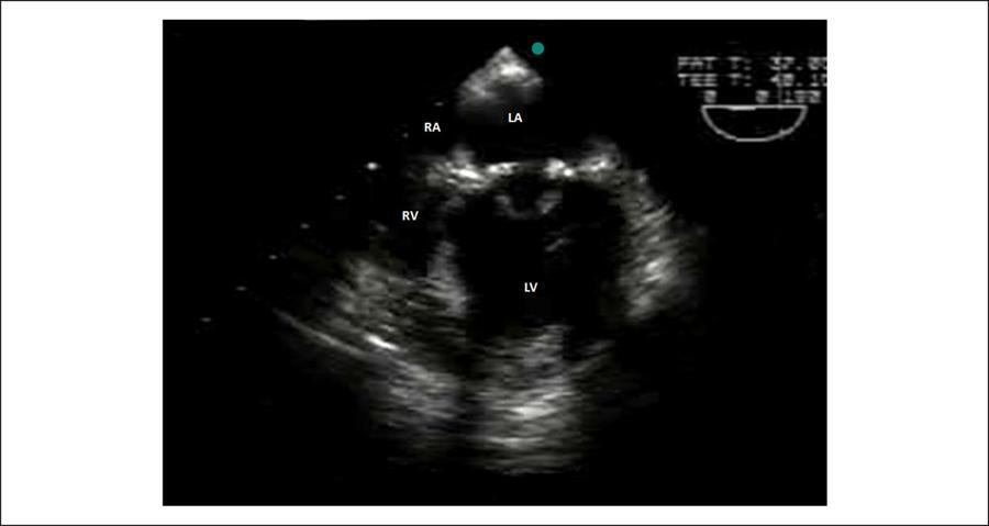 Figura 6