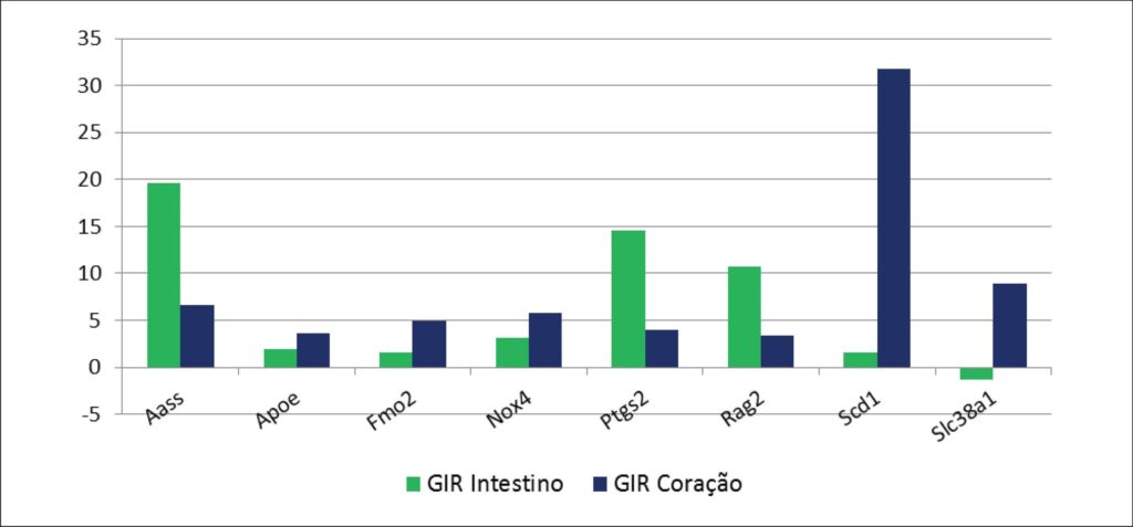 Gráfico 2