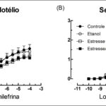 Figura 3