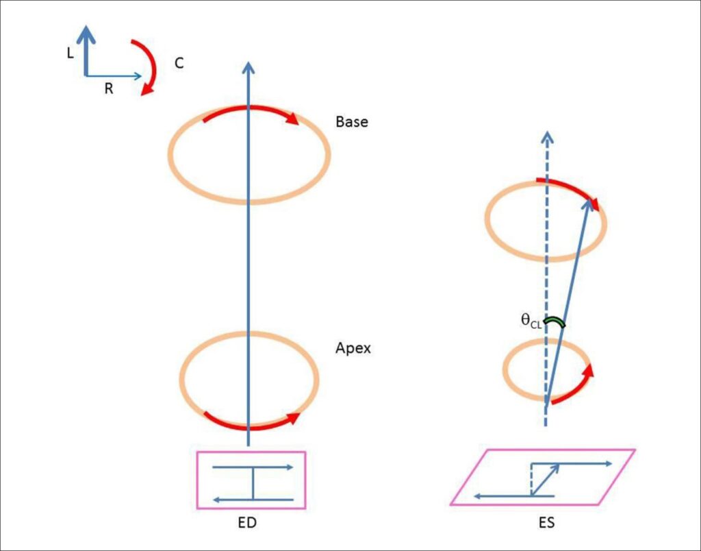 Figura 3