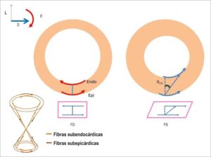 Figura 4