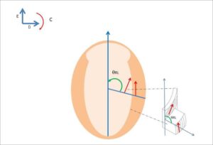 Figura 5
