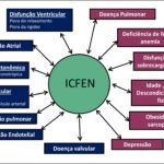 Figura 1