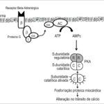 Figura 1