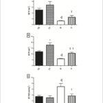 Figura 2