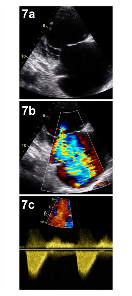 Figure 7