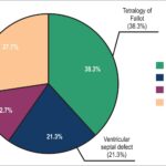 Graph 1