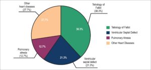 Graph 1