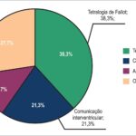 Gráfico 1