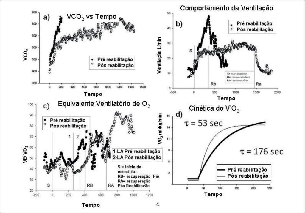 Figura 1
