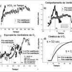 Figura 1