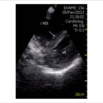 Figura 4
