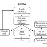 Figura 4