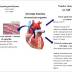 Figura 1