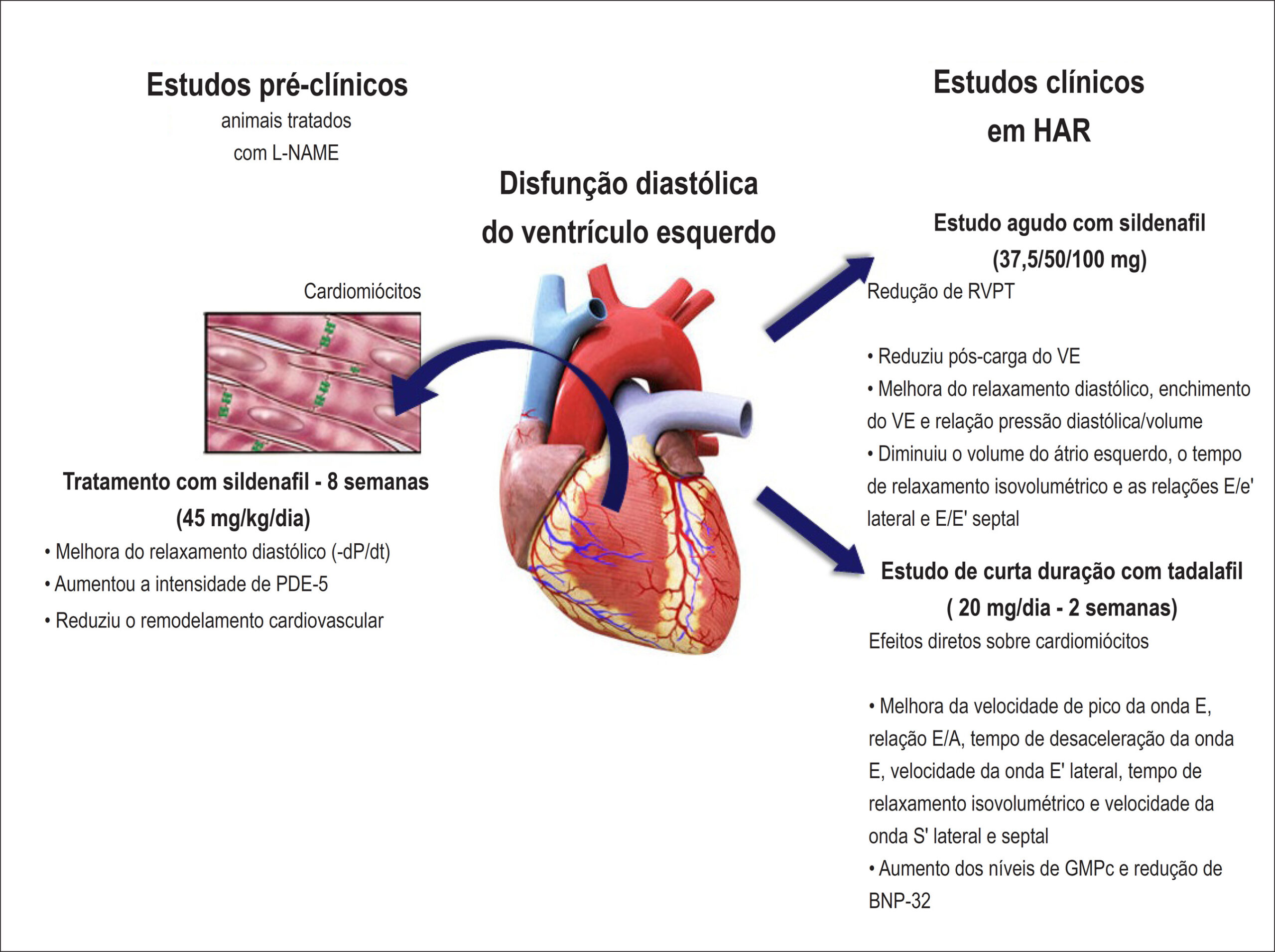 Figura 1