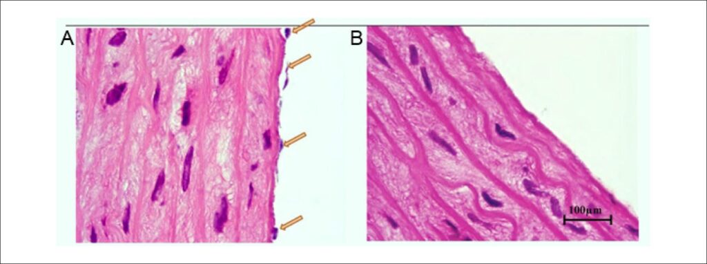 Figura 1