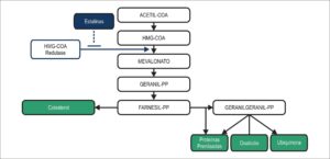 Figura 1
