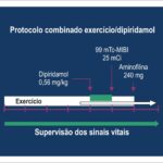 Figura 1