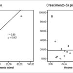 Gráfico 4