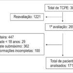Figura 1