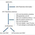 Figura 1