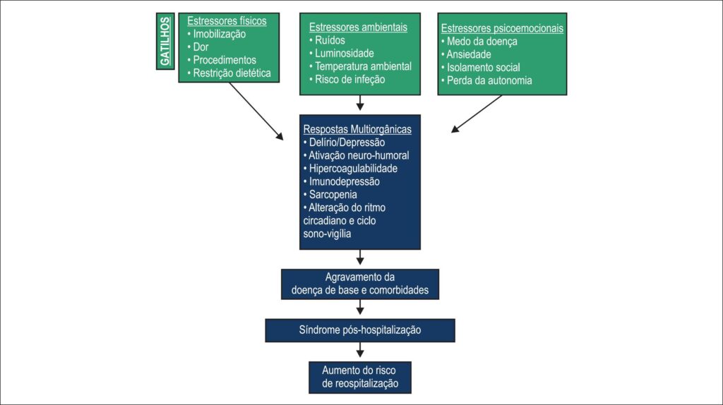 Figura 1