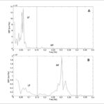 Figura 3