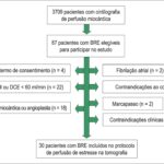 Figura 1