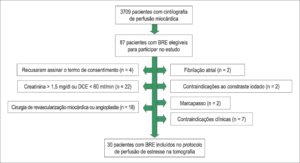 Figura 1