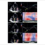 Figura 8
