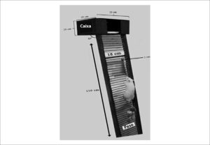 Figura 1