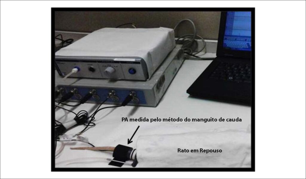 Figura 2