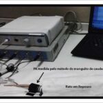 Figura 2