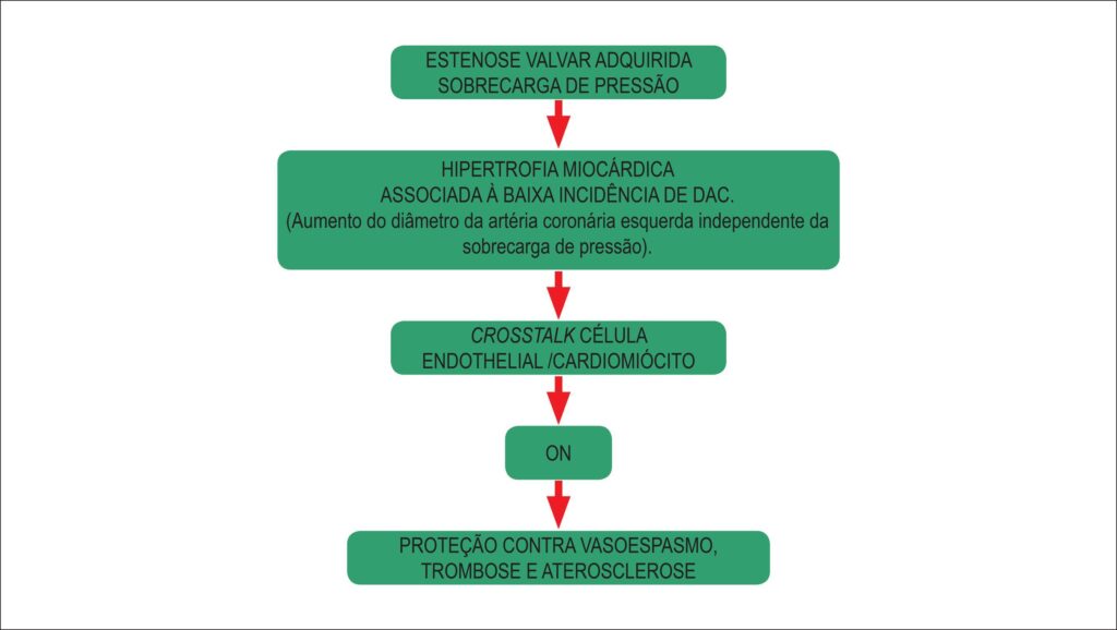 Figura 2