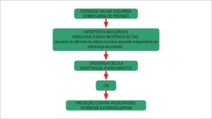 Figura 2