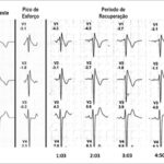 Figura 2