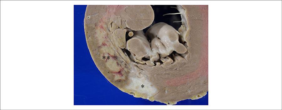 Figura 4