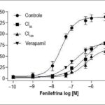 Figura 2