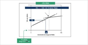 Figura 3