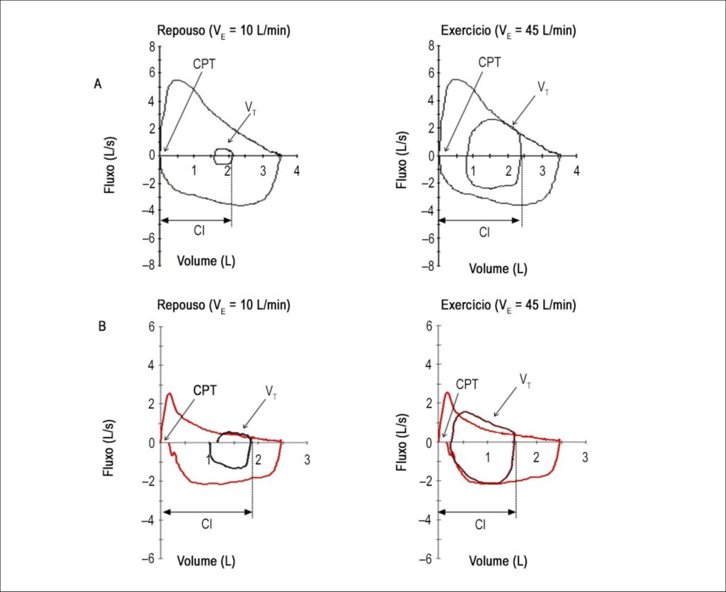 Figura 4