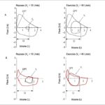 Figura 4