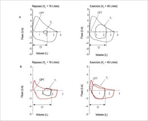 Figura 4