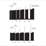 Figura 3