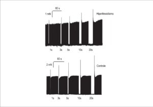 Figura 3