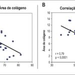 Figura 6