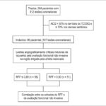 Figura 1