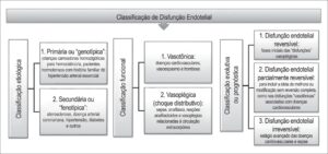 Figura 1