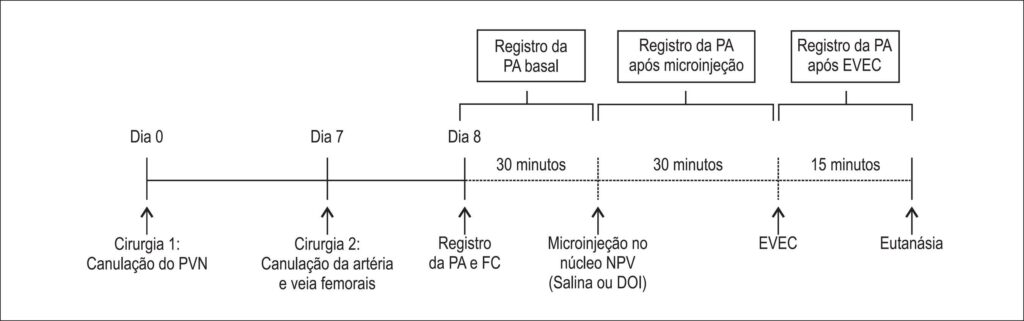Figura 1