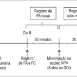 Figura 1