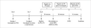 Figura 1